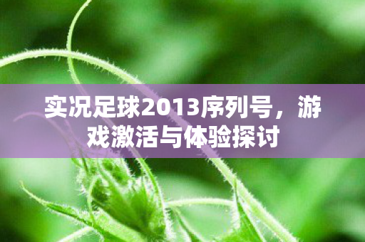 实况足球2013序列号图片