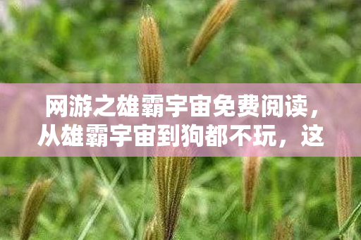 网游之雄霸宇宙免费阅读，从雄霸宇宙到狗都不玩，这落差真相让我笑着笑着就哭了