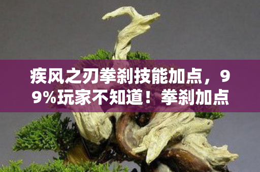 疾风之刃拳刹技能加点，99%玩家不知道！拳刹加点竟让主机党哭晕，手游端游差距大到离谱