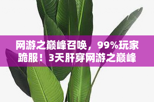 网游之巅峰召唤,99%玩家跪服!3天肝穿网游之巅峰,这酸爽谁懂啊! 网游之巅峰召唤,99%玩家跪服!3天肝穿网游之巅峰,这酸爽谁懂啊!