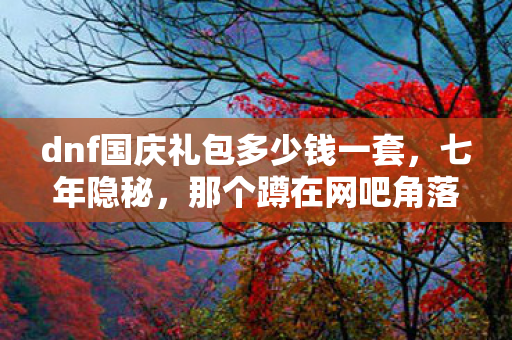 dnf国庆礼包多少钱一套，七年隐秘，那个蹲在网吧角落哽咽查价格的深夜