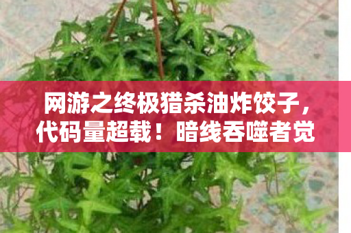 网游之终极猎杀油炸饺子，代码量超载！暗线吞噬者觉醒，头皮发麻的赛博猎杀纪元