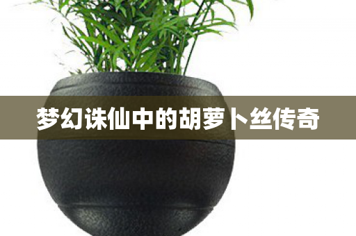 梦幻诛仙中的胡萝卜丝传奇图片