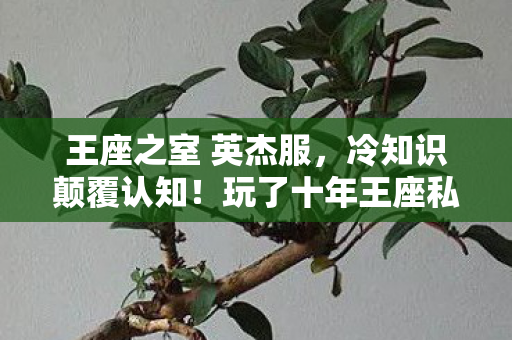 王座之室 英杰服,冷知识颠覆认知!玩了十年王座私服的我,竟目瞪口呆发现…… 王座之室 英杰服,冷知识颠覆认知!玩了十年王座私服的我,竟目瞪口呆发现……