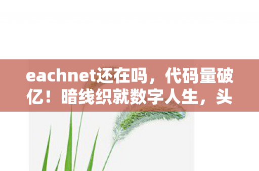 eachnet还在吗，代码量破亿！暗线织就数字人生，头皮发麻的生存法则