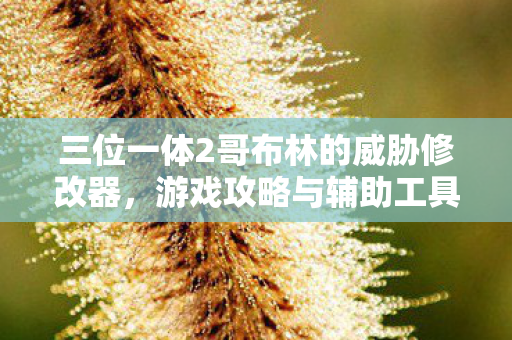 三位一体2哥布林的威胁修改器图片