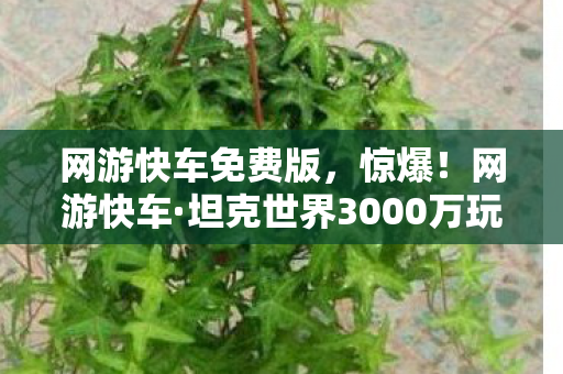 网游快车免费版,惊爆!网游快车·坦克世界3000万玩法被砍,背后隐情让人吓一跳! 网游快车免费版,惊爆!网游快车·坦克世界3000万玩法被砍,背后隐情让人吓一跳!