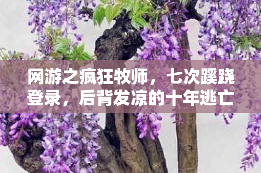 网游之疯狂牧师，七次蹊跷登录，后背发凉的十年逃亡真相