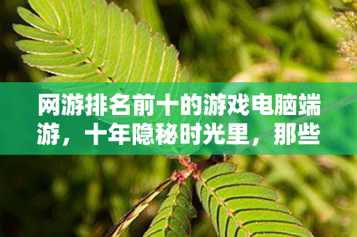 网游排名前十的游戏电脑端游,十年隐秘时光里,那些通宵的哽咽,网游排名前十的青春烙印 网游排名前十的游戏电脑端游,十年隐秘时光里,那些通宵的哽咽,网游排名前十的青春烙印