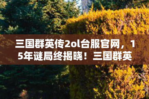 三国群英传2ol台服官网，15年谜局终揭晓！三国群英传2ol台服，那些消失的ID为何让人泪目？