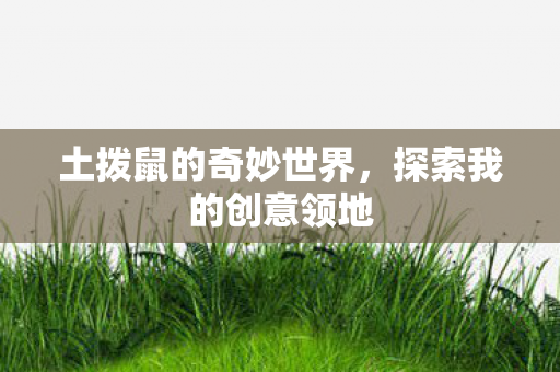 土拨鼠的奇妙世界图片