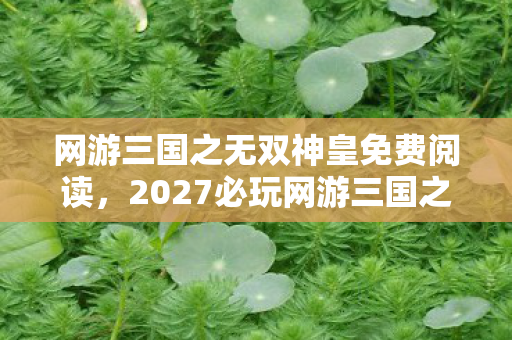 网游三国之无双神皇免费阅读,2027必玩网游三国之无双神皇99%玩家没解锁的3大隐藏体验,错过血亏! 网游三国之无双神皇免费阅读,2027必玩网游三国之无双神皇99%玩家没解锁的3大隐藏体验,错过血亏!