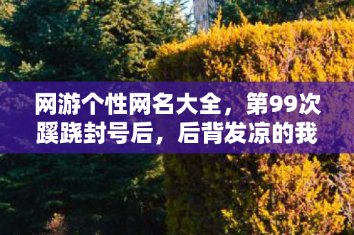 网游个性网名大全，第99次蹊跷封号后，后背发凉的我终于看清游戏真面目