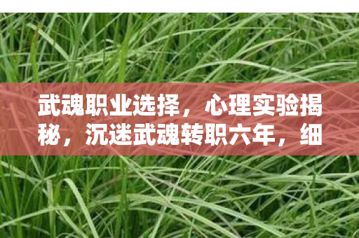 武魂职业选择，心理实验揭秘，沉迷武魂转职六年，细思极恐的自我麻醉真相