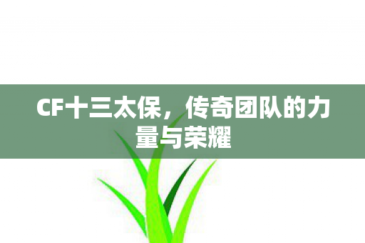 传奇团队的力量与荣耀图片