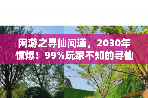 网游之寻仙问道,2030年惊爆!99%玩家不知的寻仙秘境,竟藏着…… 网游之寻仙问道,2030年惊爆!99%玩家不知的寻仙秘境,竟藏着……