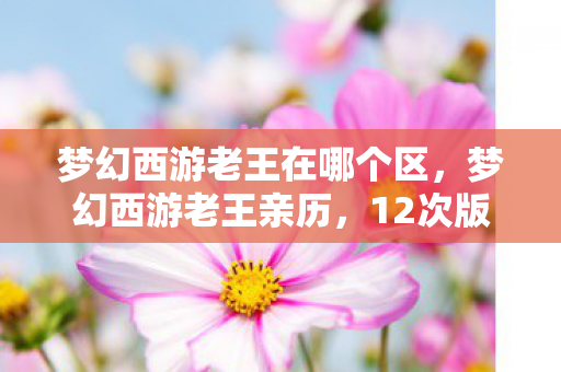 梦幻西游老王在哪个区,梦幻西游老王亲历,12次版本巨变后,竟藏着惊天秘密? 梦幻西游老王在哪个区,梦幻西游老王亲历,12次版本巨变后,竟藏着惊天秘密?