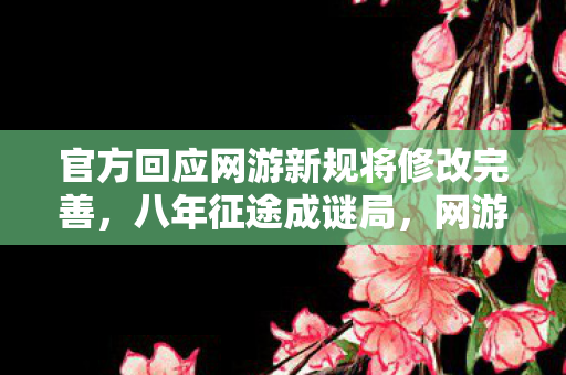 官方回应网游新规将修改完善,八年征途成谜局,网游新规下关服泪目终章 官方回应网游新规将修改完善,八年征途成谜局,网游新规下关服泪目终章