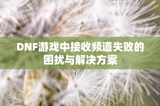 DNF游戏中接收频道失败的困扰与解决方案图片