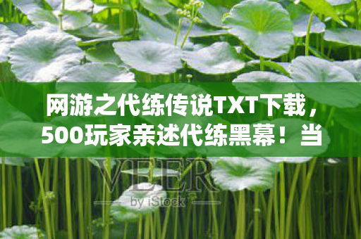 网游之代练传说TXT下载，500玩家亲述代练黑幕！当钞能力遇上系统漏洞，真相绷不住了