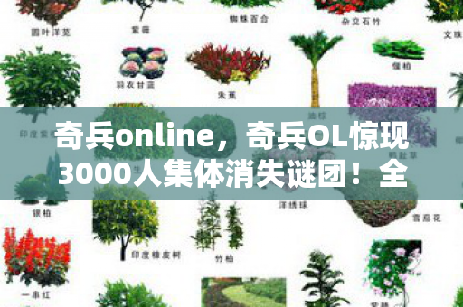 奇兵online，奇兵OL惊现3000人集体消失谜团！全服破防，我们究竟在和谁战斗？