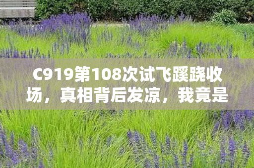 C919第108次试飞蹊跷收场，真相背后发凉，我竟是NPC？
