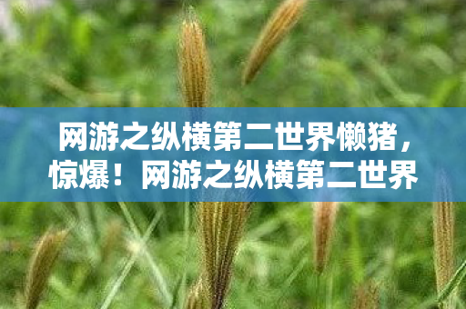 网游之纵横第二世界懒猪，惊爆！网游之纵横第二世界，3000万隐情曝光，真相让人吓一跳！