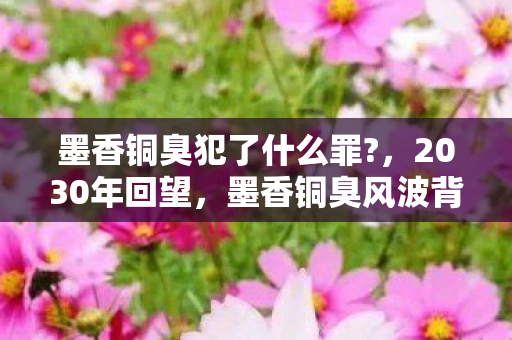 墨香铜臭犯了什么罪?，2030年回望，墨香铜臭风波背后，究竟藏着怎样震撼业界的秘密？