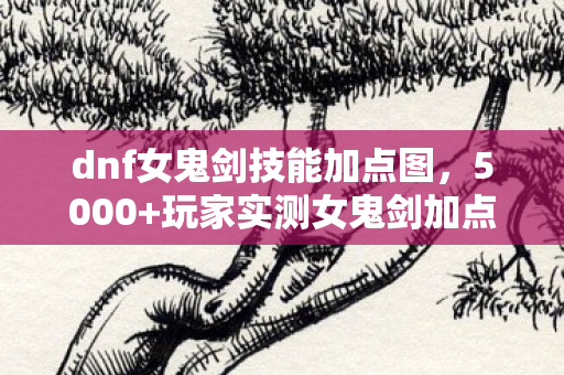 dnf女鬼剑技能加点图，5000+玩家实测女鬼剑加点疑云，这操作谁绷得住啊？！