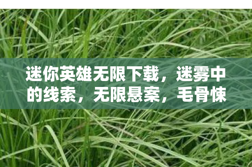 迷你英雄无限下载，迷雾中的线索，无限悬案，毛骨悚然之自我终结