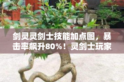 剑灵灵剑士技能加点图,暴击率飙升80%!灵剑士玩家亲测,这套加点让我爽到飞起 剑灵灵剑士技能加点图,暴击率飙升80%!灵剑士玩家亲测,这套加点让我爽到飞起
