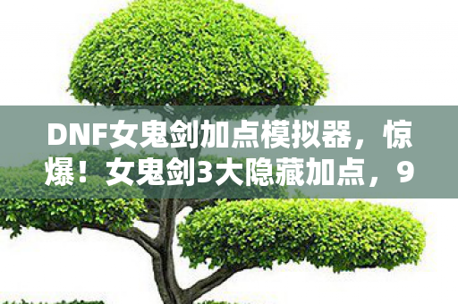 DNF女鬼剑加点模拟器，惊爆！女鬼剑3大隐藏加点，99%玩家竟从未触碰的真相！