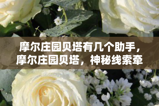 摩尔庄园贝塔有几个助手，摩尔庄园贝塔，神秘线索牵出十年悬案，毛骨悚然真相待解
