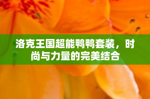 洛克王国超能鸭鸭套装图片