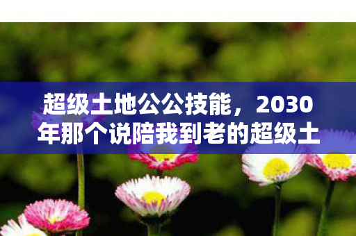 超级土地公公技能，2030年那个说陪我到老的超级土地公公，伏笔成真时我鼻子一酸