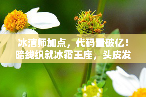 冰洁师加点，代码量破亿！暗线织就冰霜王座，头皮发麻的次元生存法则