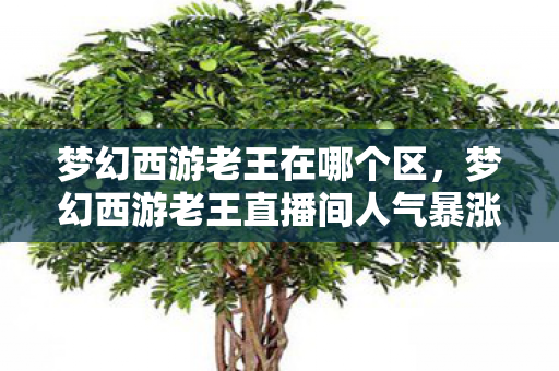梦幻西游老王在哪个区，梦幻西游老王直播间人气暴涨300%背后，疑云密布，玩家心寒谁之过？