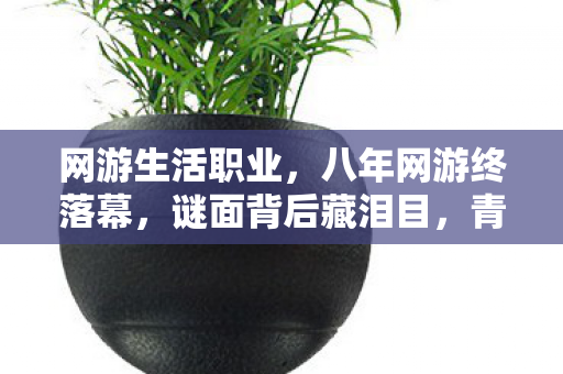 网游生活职业,八年网游终落幕,谜面背后藏泪目,青春散场梦成空 网游生活职业,八年网游终落幕,谜面背后藏泪目,青春散场梦成空