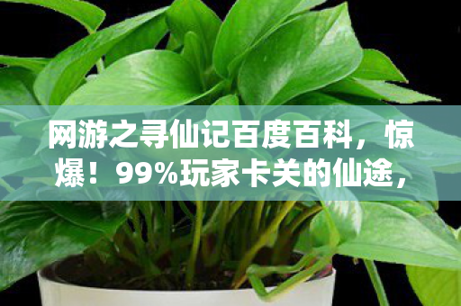 网游之寻仙记百度百科,惊爆!99%玩家卡关的仙途,他竟用3天破解了终极秘密? 网游之寻仙记百度百科,惊爆!99%玩家卡关的仙途,他竟用3天破解了终极秘密?