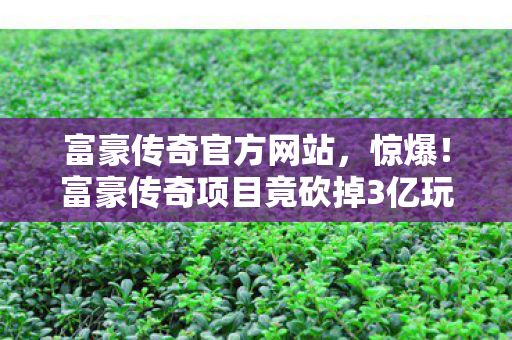 富豪传奇官方网站,惊爆!富豪传奇项目竟砍掉3亿玩法,背后隐情让人吓一跳! 富豪传奇官方网站,惊爆!富豪传奇项目竟砍掉3亿玩法,背后隐情让人吓一跳!