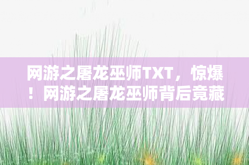 网游之屠龙巫师TXT，惊爆！网游之屠龙巫师背后竟藏300万隐情，真相让人吓一跳！