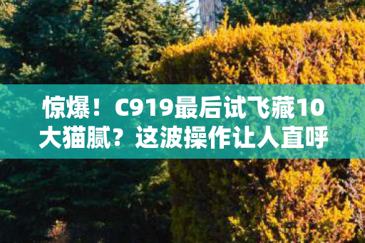 惊爆！C919最后试飞藏10大猫腻？这波操作让人直呼上头！