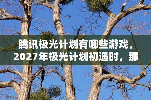腾讯极光计划有哪些游戏,2027年极光计划初遇时,那句承诺成伏笔,如今想起鼻子一酸 腾讯极光计划有哪些游戏,2027年极光计划初遇时,那句承诺成伏笔,如今想起鼻子一酸