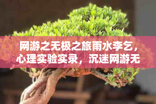 网游之无极之旅雨水李乞,心理实验实录,沉迷网游无极之旅,细思极恐的自我异化 网游之无极之旅雨水李乞,心理实验实录,沉迷网游无极之旅,细思极恐的自我异化