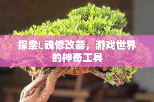 游戏世界的神奇工具图片