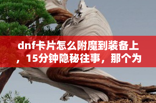 dnf卡片怎么附魔到装备上,15分钟隐秘往事,那个为收集卡片哽咽的深夜,你还记得吗? dnf卡片怎么附魔到装备上,15分钟隐秘往事,那个为收集卡片哽咽的深夜,你还记得吗?