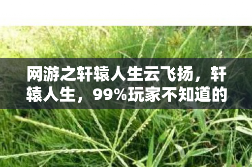 网游之轩辕人生云飞扬,轩辕人生,99%玩家不知道的3大氪金猫腻,越玩越上头却越穷! 网游之轩辕人生云飞扬,轩辕人生,99%玩家不知道的3大氪金猫腻,越玩越上头却越穷!