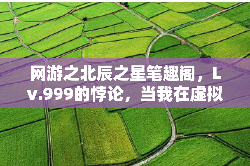 网游之北辰之星笔趣阁,Lv.999的悖论,当我在虚拟神坛弑神时,现实正跪在门外 网游之北辰之星笔趣阁,Lv.999的悖论,当我在虚拟神坛弑神时,现实正跪在门外
