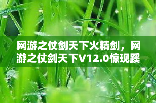 网游之仗剑天下火精剑,网游之仗剑天下V12.0惊现蹊跷!老玩家集体泪目,这还是我们追过的江湖吗? 网游之仗剑天下火精剑,网游之仗剑天下V12.0惊现蹊跷!老玩家集体泪目,这还是我们追过的江湖吗?