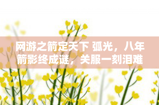 网游之箭定天下 弧光，八年箭影终成谜，关服一刻泪难觅